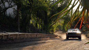 Розовая страсть по дороге на ранчо.