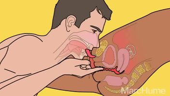 Пособие как делать правильно.