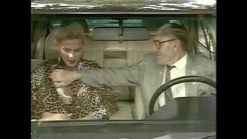 Joy Karin's - секс в машине