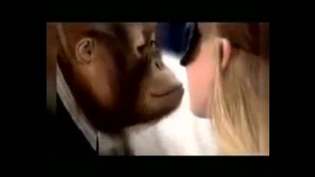 Аналогия с сайтом знакомств