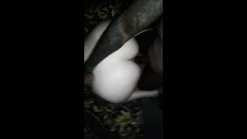 Большая белая жопа и здоровый черный хуй, который раком рвет любовницу в пизду, домашний межрасовый секс