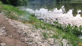 минет на полянке