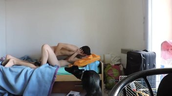 Собака наблюдает за сексом своих молодых хозяев