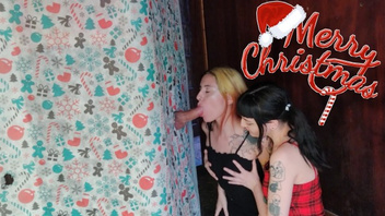 Две  телки для болта,  любительское