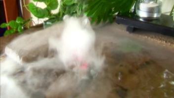 Трахает сразу двух пышногрудых баб