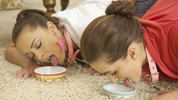 Две любовницы классно шалят орально