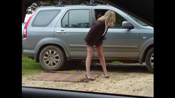 Плечевая на дороге